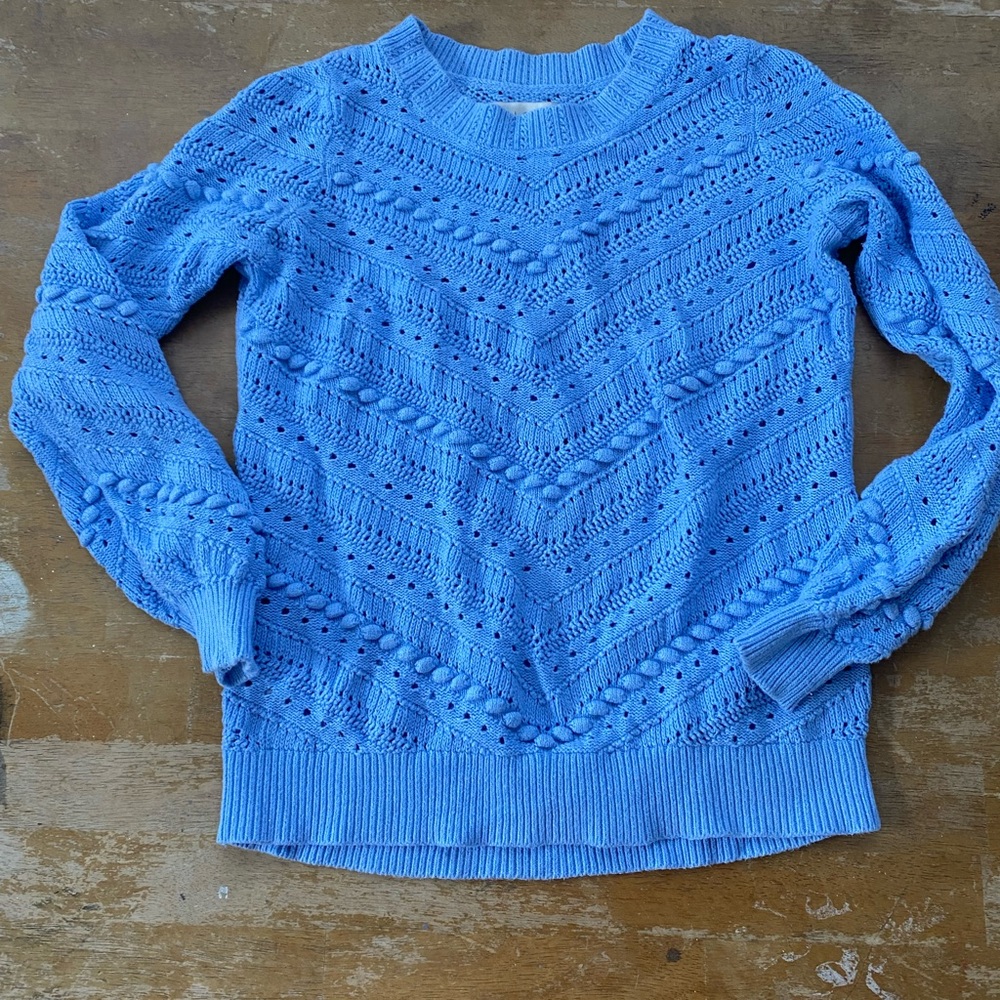 LOFT Blue Crew Neck Sweater with Chevron Pattern